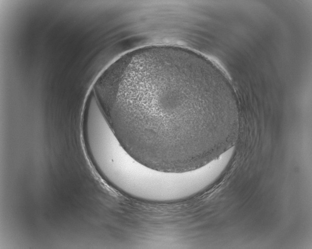 X0000070210895200606091621