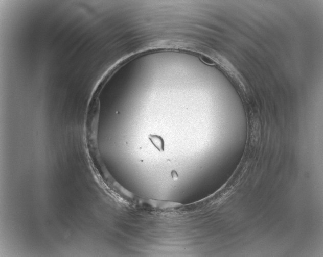 X0000070210896200606091621