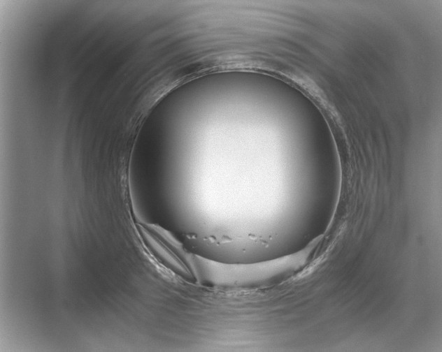 X0000070210897200606091621