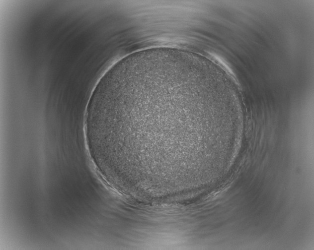 X0000070210899200606091621