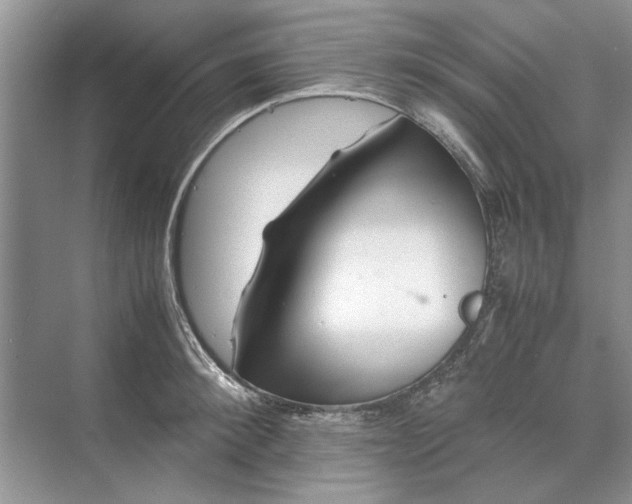 X0000070210900200606091621