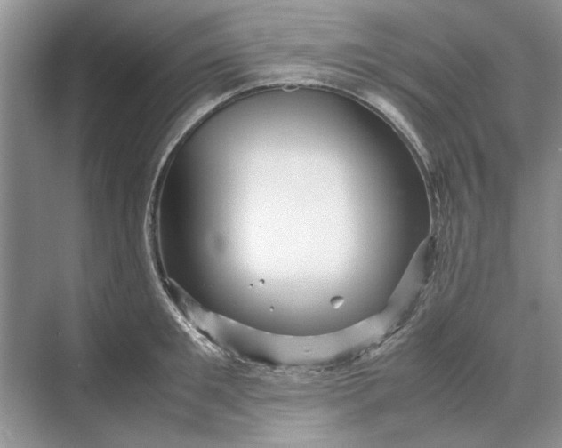 X0000070210901200606091621