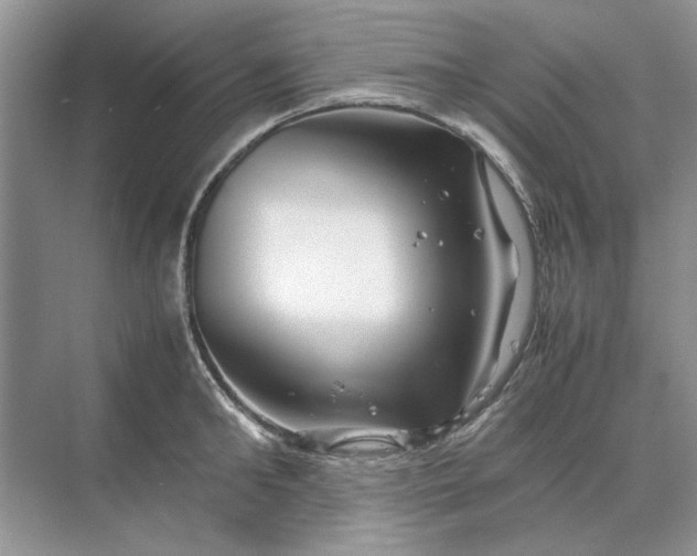 X0000070210902200606091621