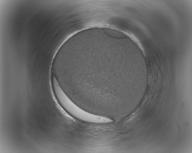 X0000070210903200606091621