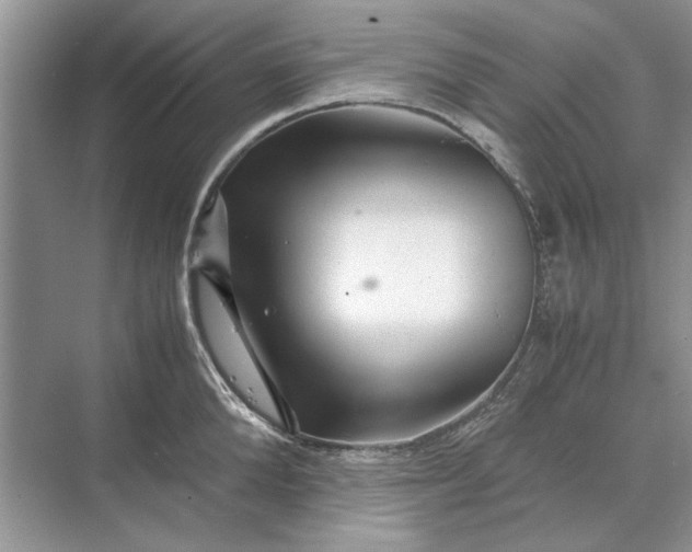 X0000070210904200606091621