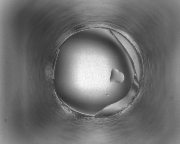 X0000070210905200606091621