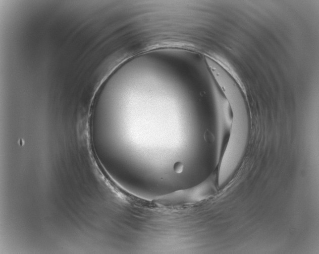 X0000070210906200606091621