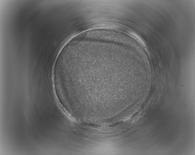 X0000070210907200606091621