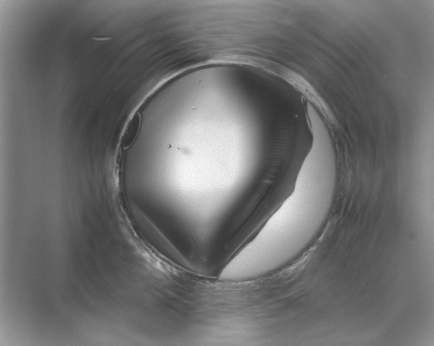 X0000070210908200606091621