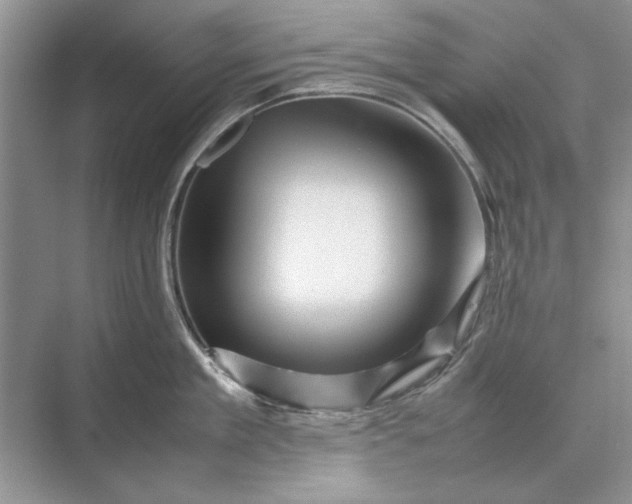 X0000070210909200606091621