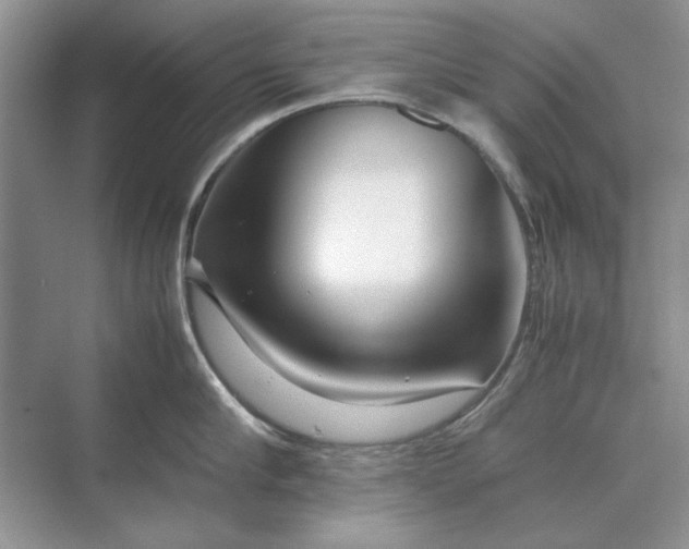 X0000070210910200606091621