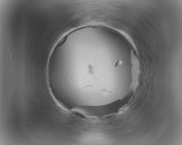 X0000070210911200606091621