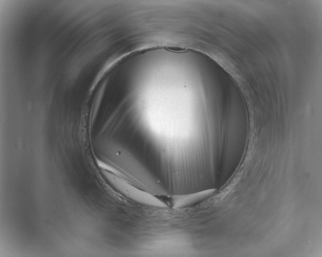 X0000070210912200606091621