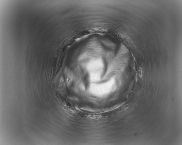 X0000070210915200606091620