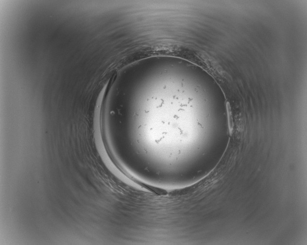 X0000070210916200606091620