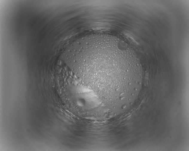 X0000070210917200606091620