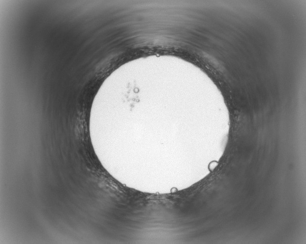 X0000070210918200606091620