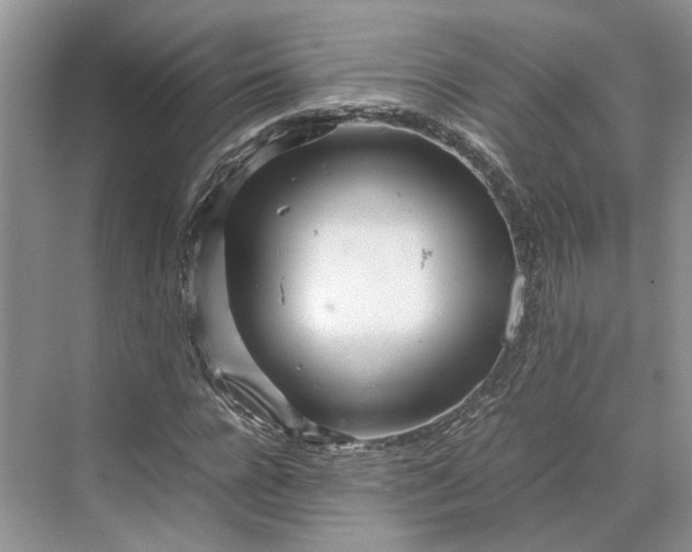 X0000070210920200606091620