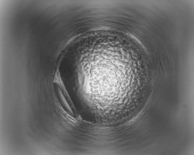 X0000070210921200606091620