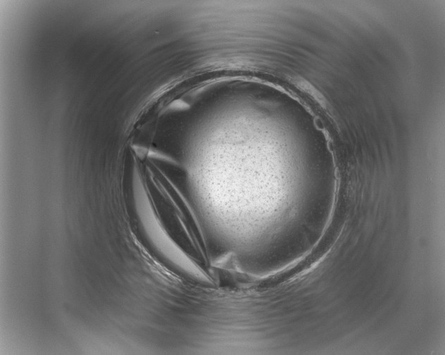 X0000070210922200606091620