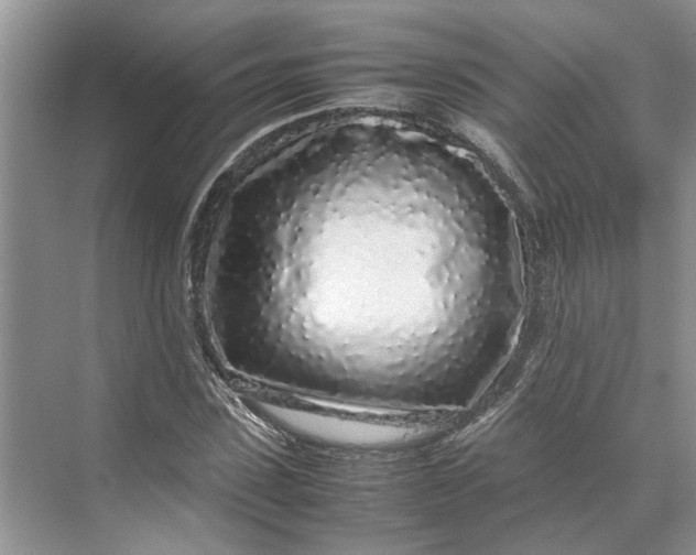 X0000070210923200606091620