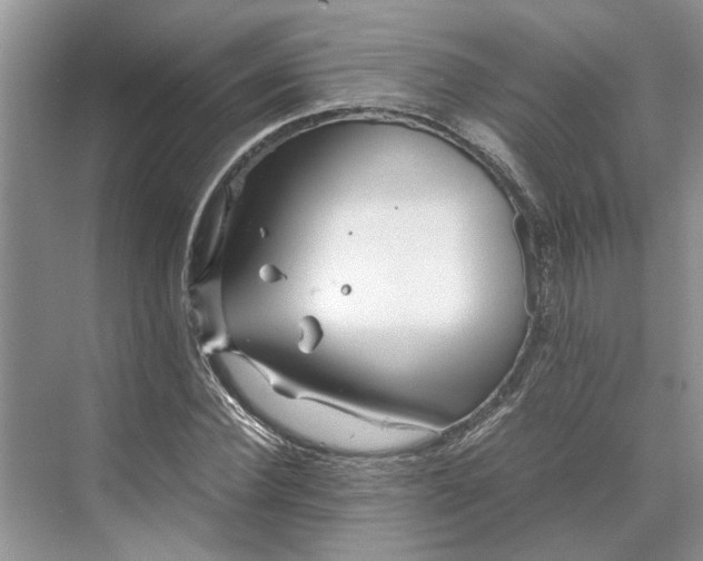 X0000070210924200606091620