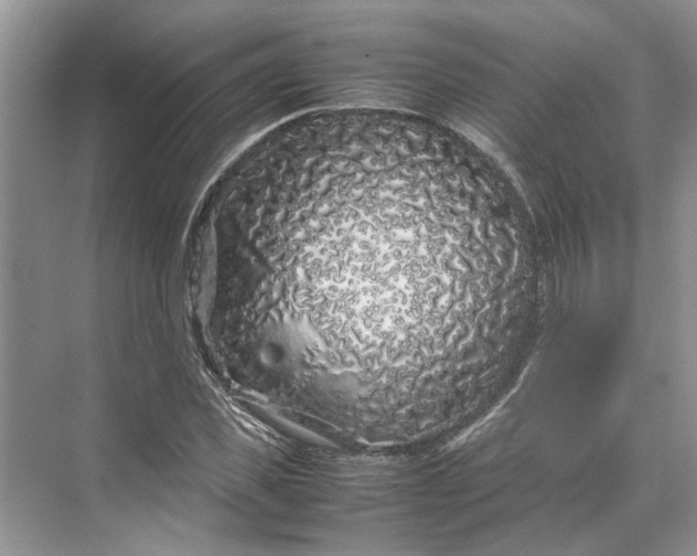 X0000070210925200606091620