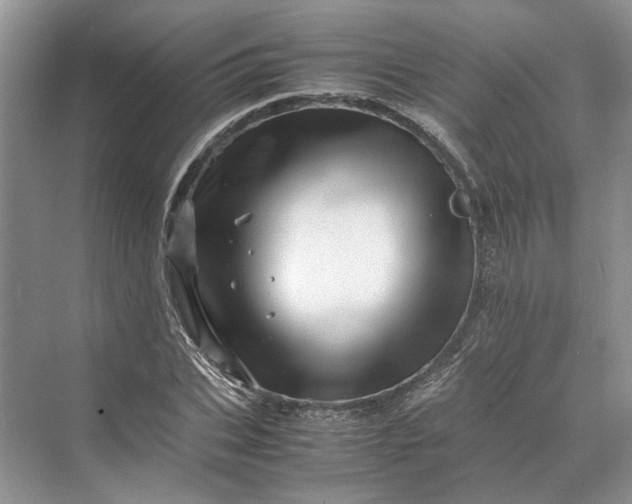 X0000070210927200606091620