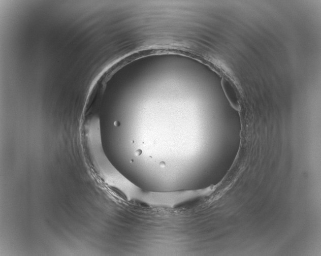 X0000070210928200606091620