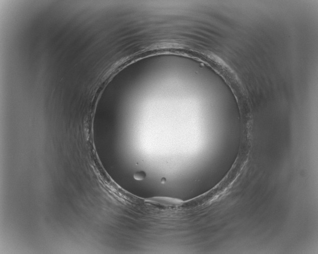 X0000070210929200606091620