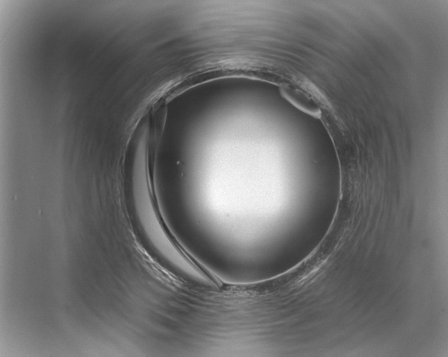 X0000070210930200606091620