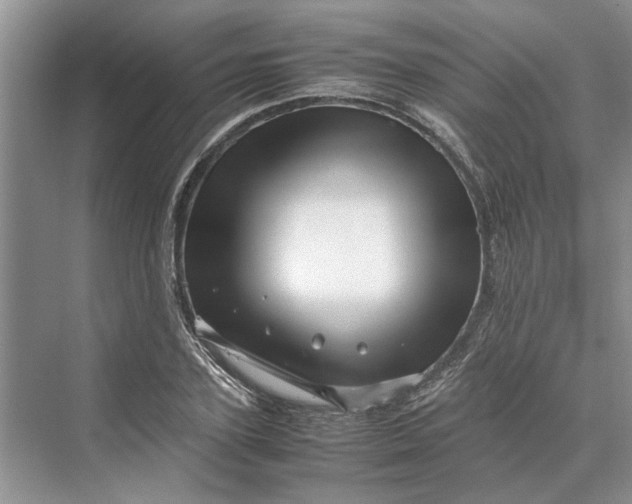 X0000070210931200606091620