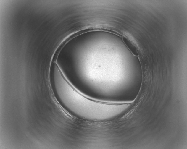 X0000070210932200606091620