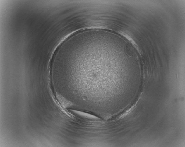 X0000070210933200606091620