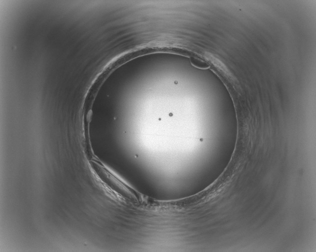 X0000070210934200606091620