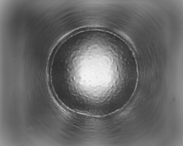 X0000070210935200606091620