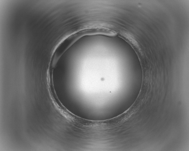 X0000070210936200606091621