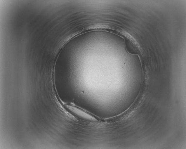 X0000070210937200606091621