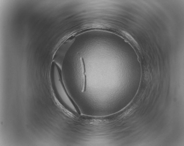 X0000070210938200606091621