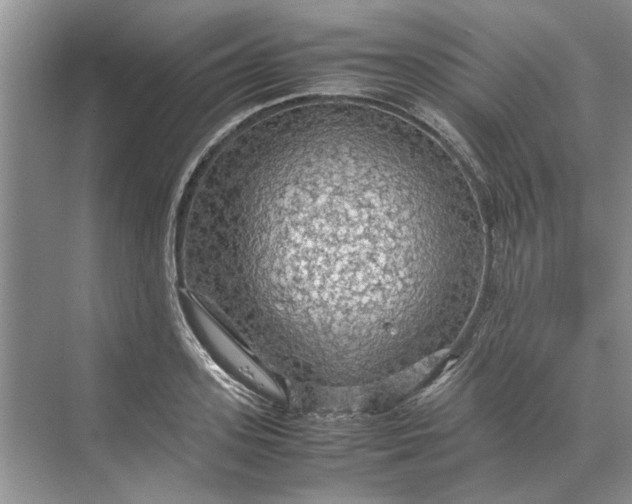 X0000070210939200606091621