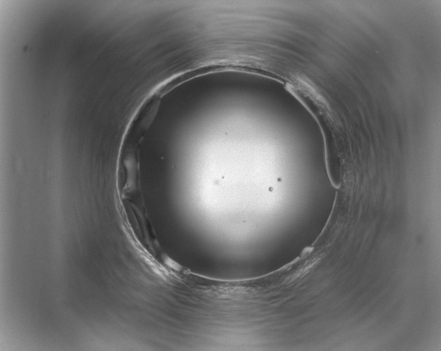 X0000070210940200606091621