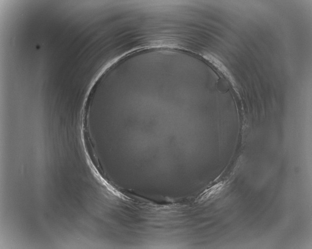 X0000070210941200606091621