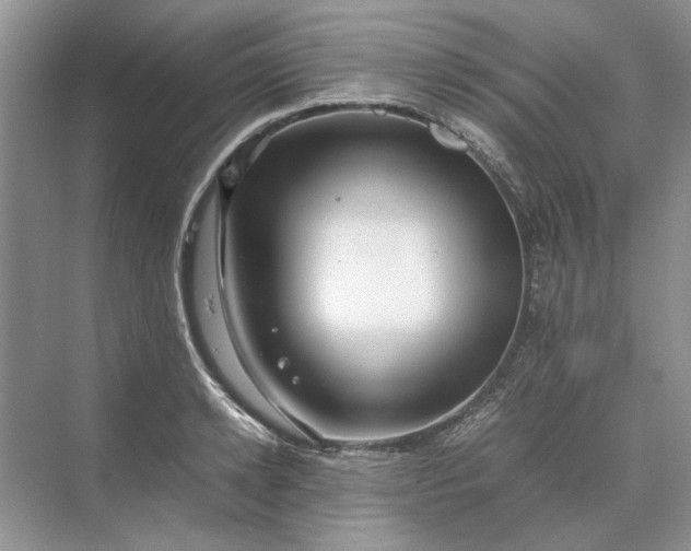 X0000070210942200606091621