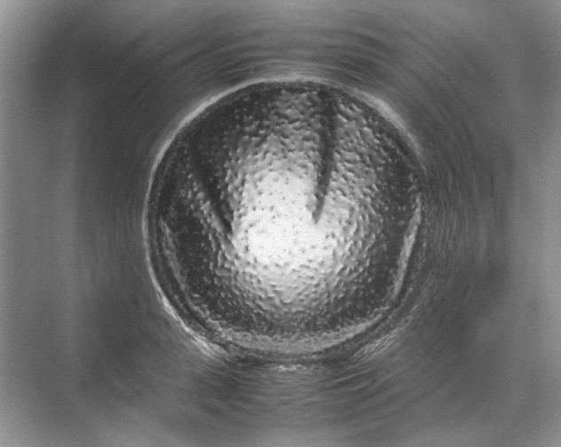 X0000070210943200606091621