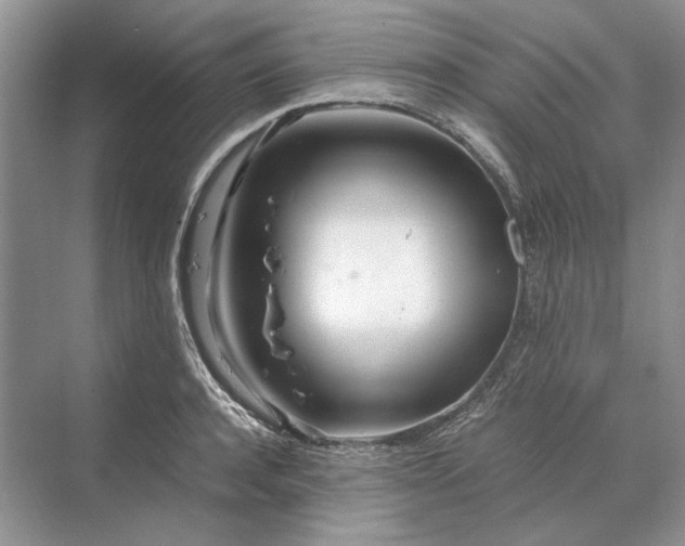 X0000070210944200606091621