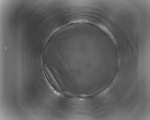 X0000070210945200606091621