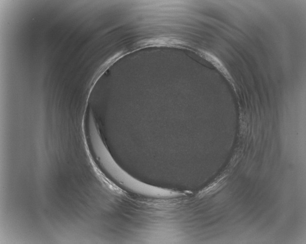 X0000070210946200606091621