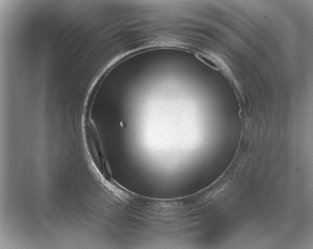 X0000070210947200606091621