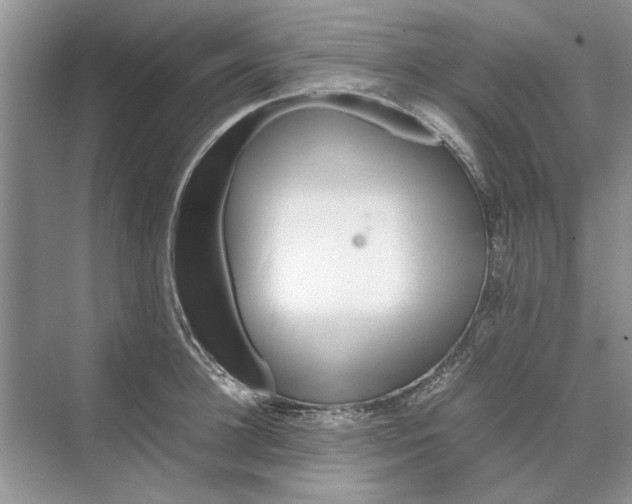 X0000070210948200606091621