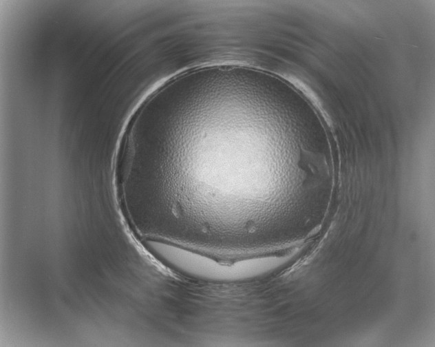 X0000070210949200606091621